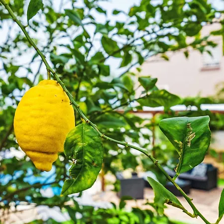 Holiday El Limonar By Interhome *